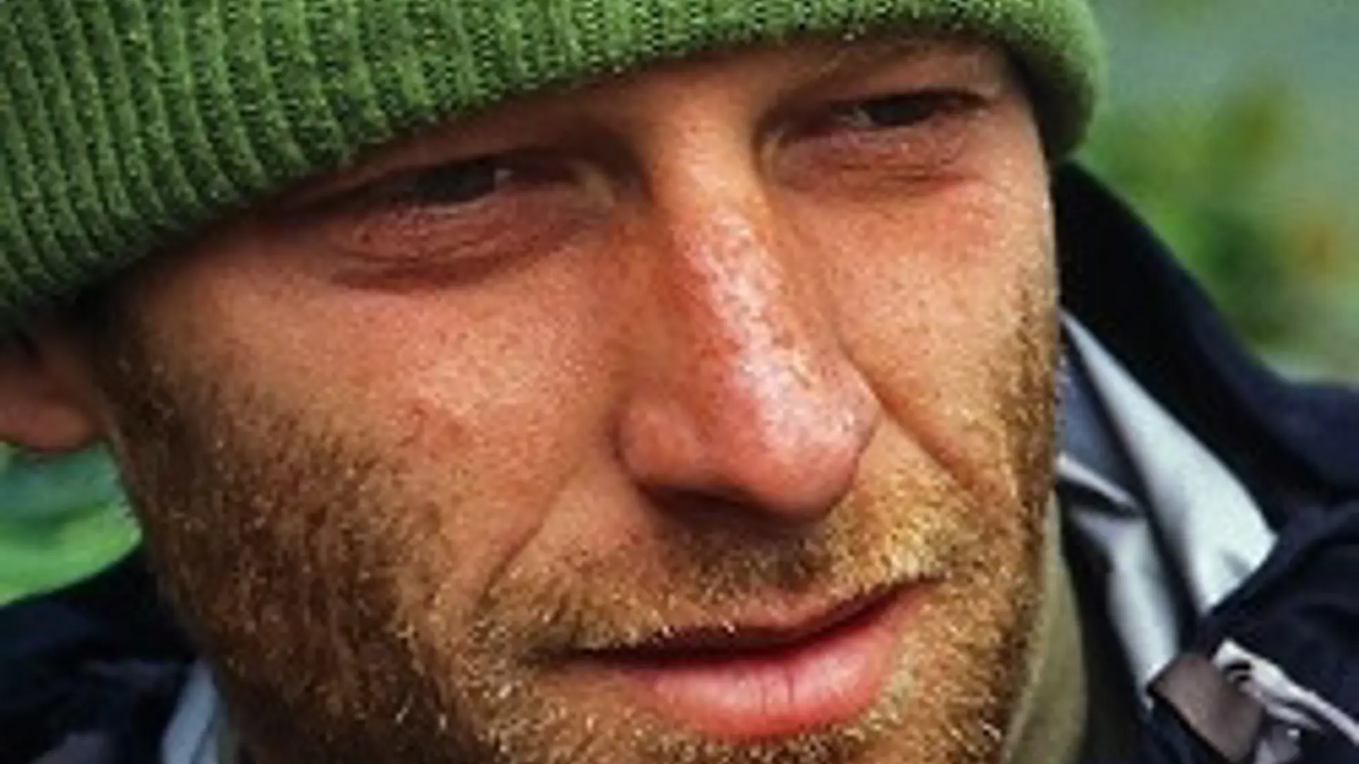 David