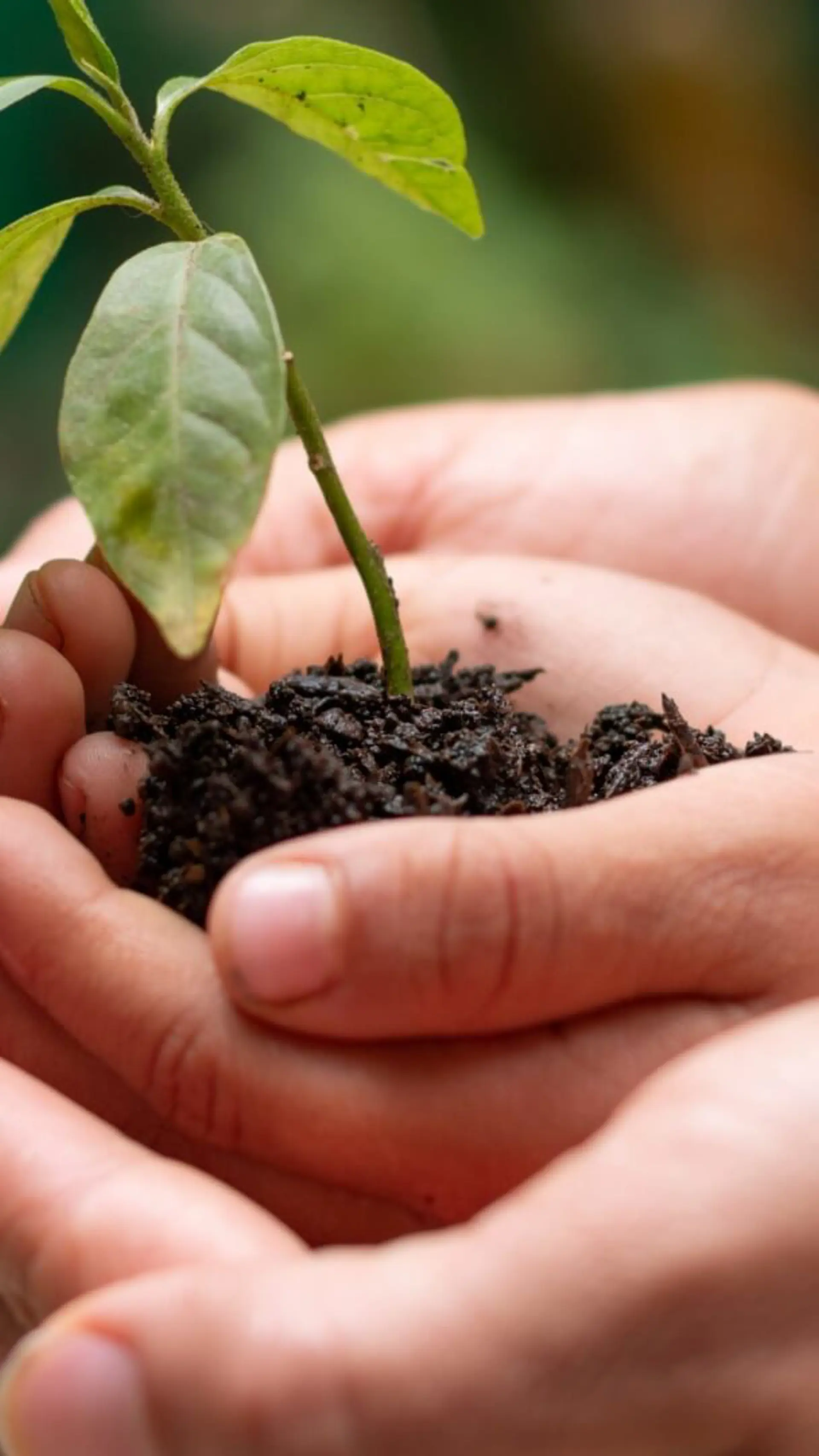Corporate Social Responsibility
